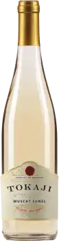 671579.jpeg