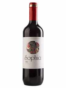 Sophia Cz/Pw 11% 750ml Czerwone